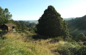 Domaine de l'Ours*** - Photo 8