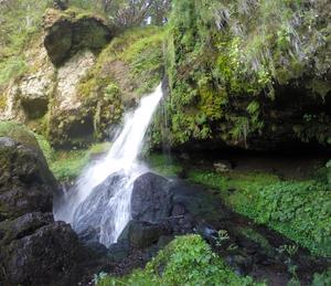 Domaine de l'Ours*** - Photo 12