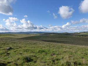Domaine de l'Ours*** - Photo 15