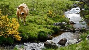 Domaine de l'Ours*** - Photo 17