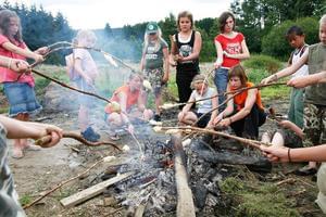 Camping Petite Suisse - Photo 5