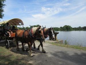 Camping Val Vert en Berry - Photo 22