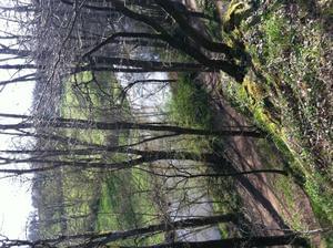Camping Val Vert en Berry - Photo 25