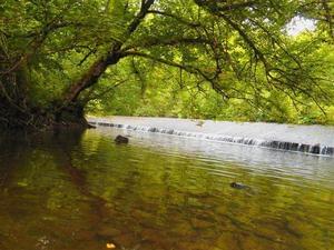 Camping Val Vert en Berry - Photo 24