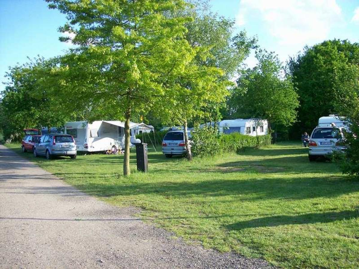 Komfortcamp KlüthseeCamp und Naturcamp Seeblick - Photo 2