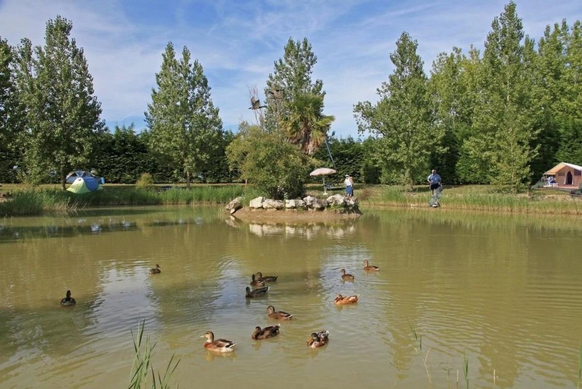 Domaine Le Jardin du Marais - Photo 15