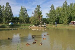Domaine Le Jardin du Marais - Photo 15
