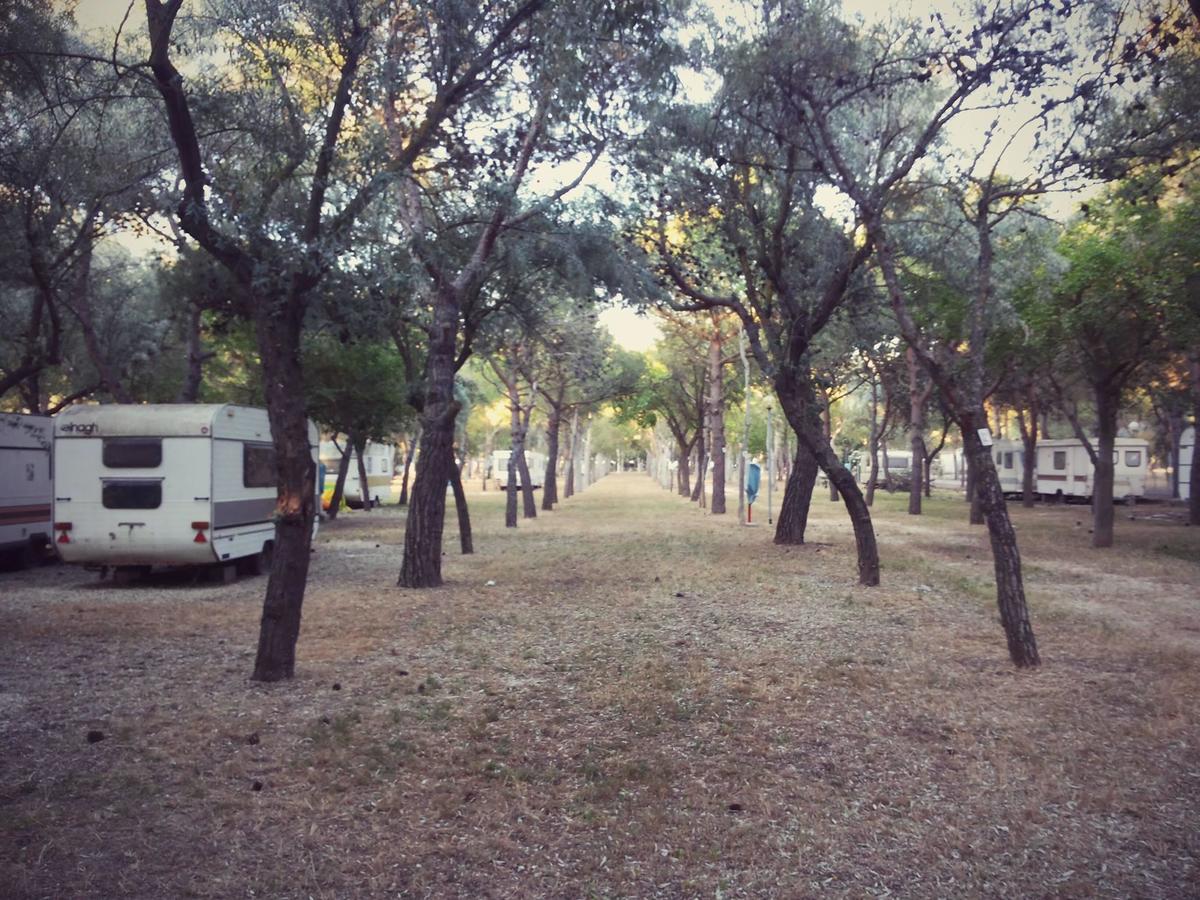 Camping Tellina - Photo 2