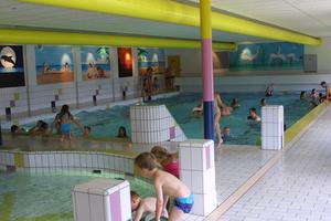 Recreatiepark en Jachthaven De Scherpenhof - Photo 1
