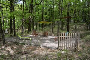 Les Bois de Prayssac - Photo 16