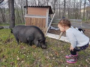 Camping de Montmaurin - Photo 6