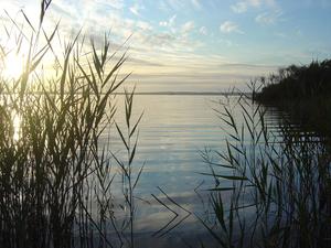 Camping L'Arbre d'Or - Photo 49