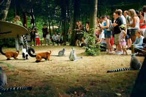 Camping du Lac de Saint Cyr - Photo 45