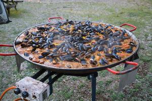 Les Bois de Prayssac - Photo 11