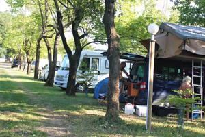 Camping du Domaine de Senaud - Photo 3