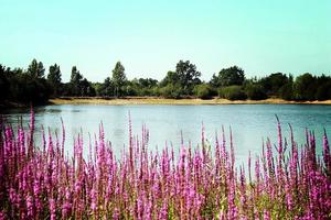 Camping Au Pré de l'Etang - Photo 14