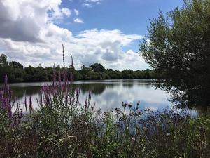 Camping Au Pré de l'Etang - Photo 15