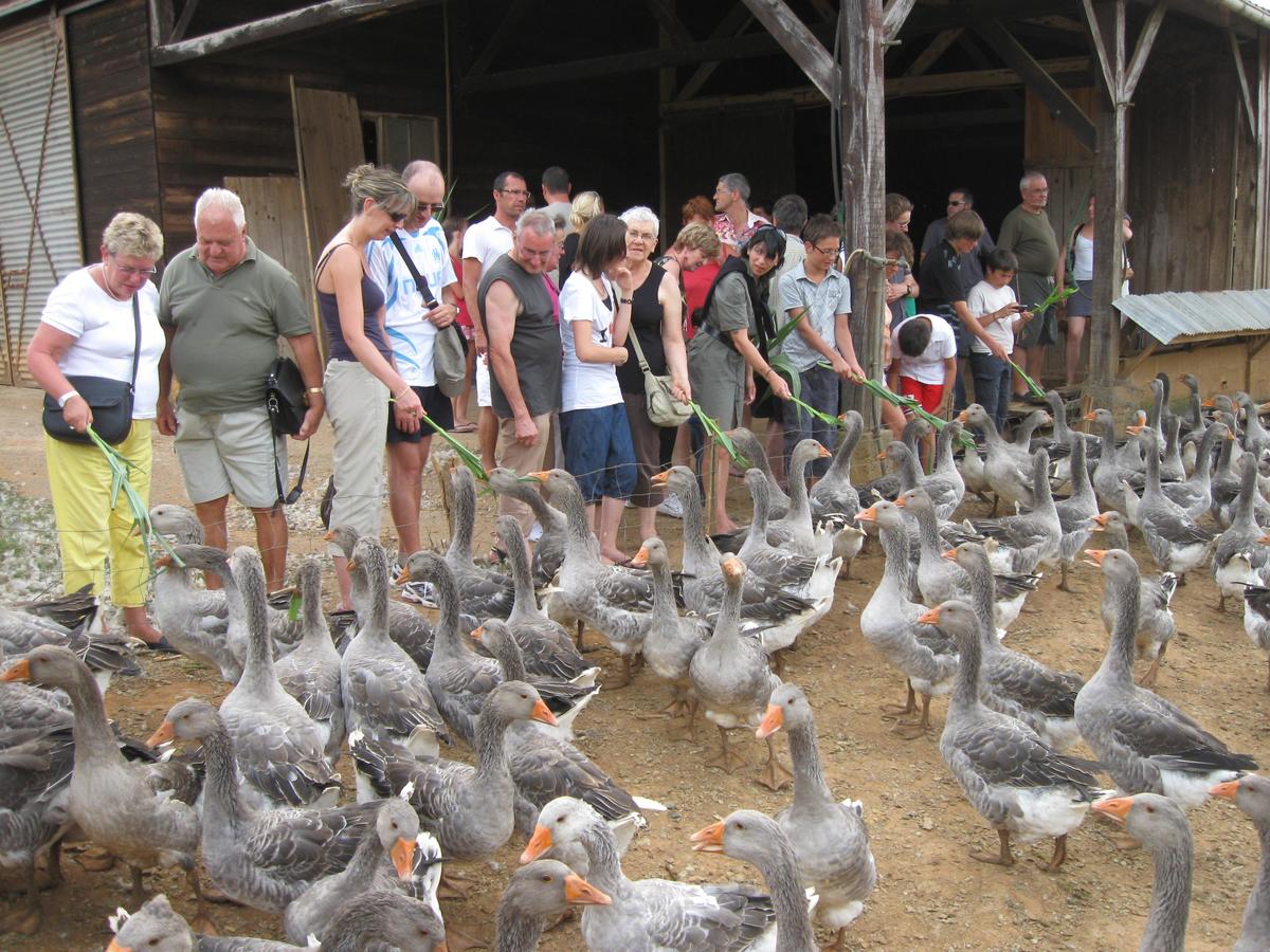 Camping du Lac de Groléjac en Dordogne - Photo 1287