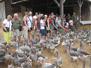 Camping du Lac de Groléjac en Dordogne - Photo 1287