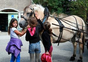 Flower Camping des Gorges de l'Aveyron - Photo 17