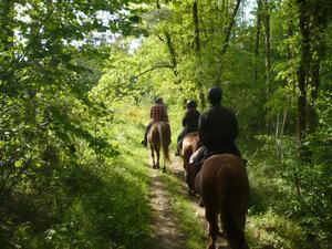 Flower Camping LES MIJEANNES - Photo 38
