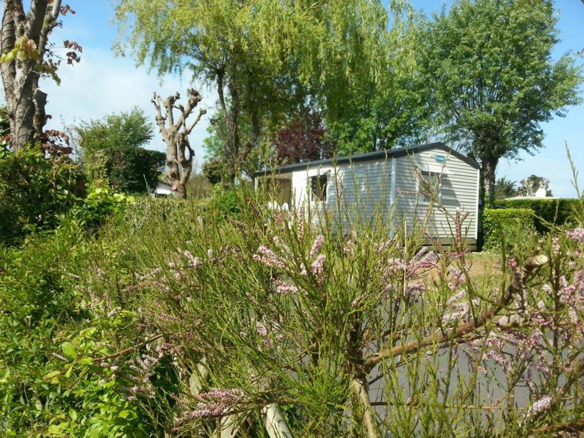 Camping la Forêt - Photo 2