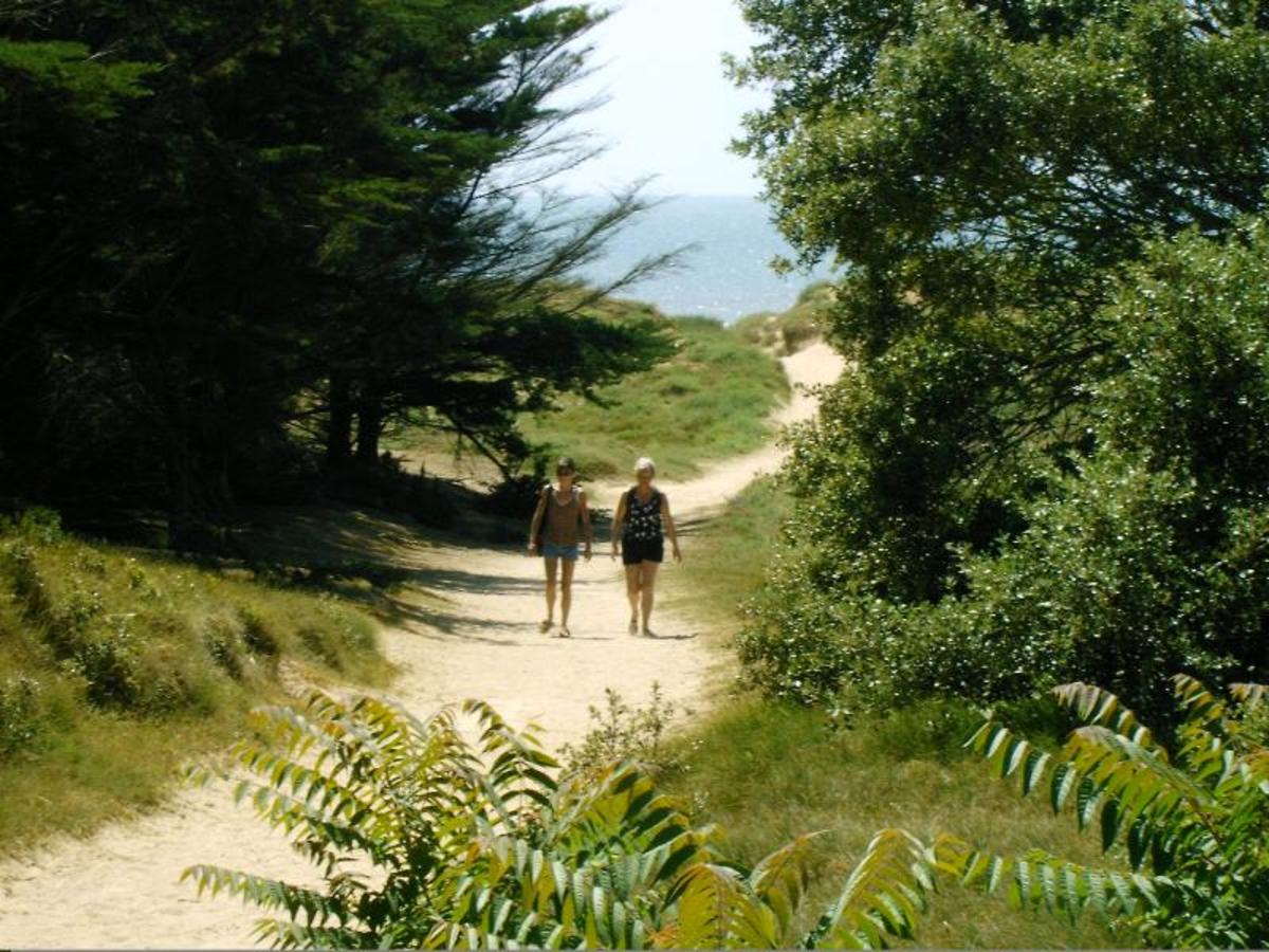 Camping la Forêt - Photo 53