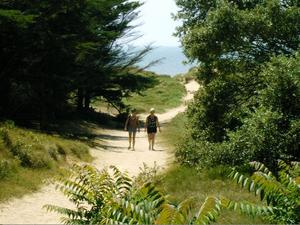 Camping la Forêt - Photo 53