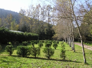 CAMPING LES GRANGES BAS - Photo 4