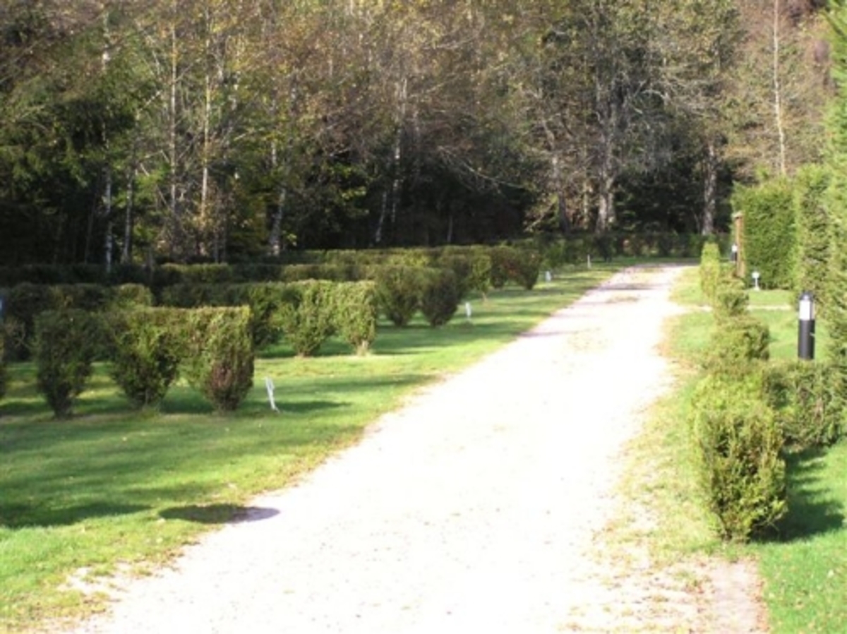 CAMPING LES GRANGES BAS - Photo 6