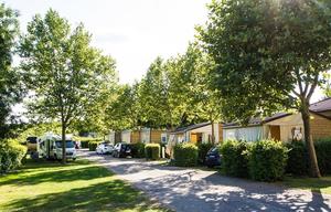 Camping La Grappe Fleurie - Photo 3