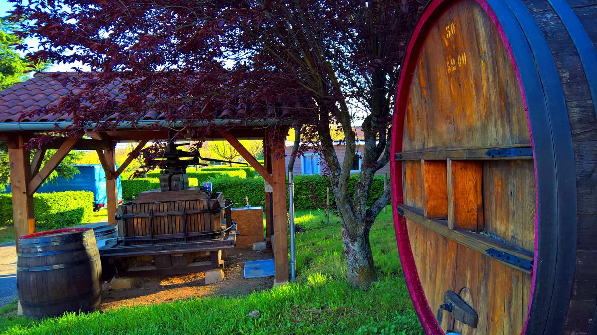 Camping La Grappe Fleurie - Photo 10