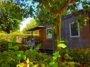 Camping La Grappe Fleurie - Photo 7