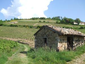 Camping La Grappe Fleurie - Photo 35