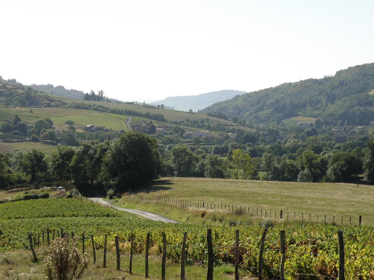 Camping La Grappe Fleurie - Photo 38