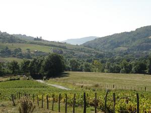 Camping La Grappe Fleurie - Photo 38
