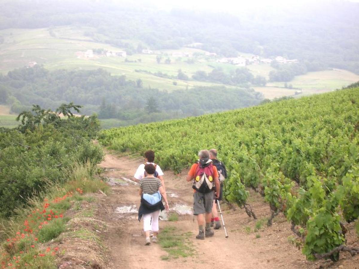 Camping La Grappe Fleurie - Photo 44