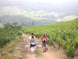 Camping La Grappe Fleurie - Photo 44