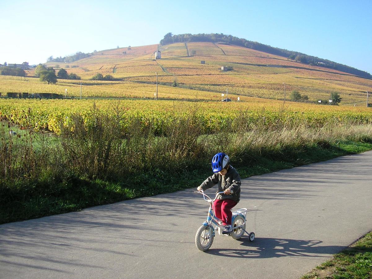 Camping La Grappe Fleurie - Photo 47