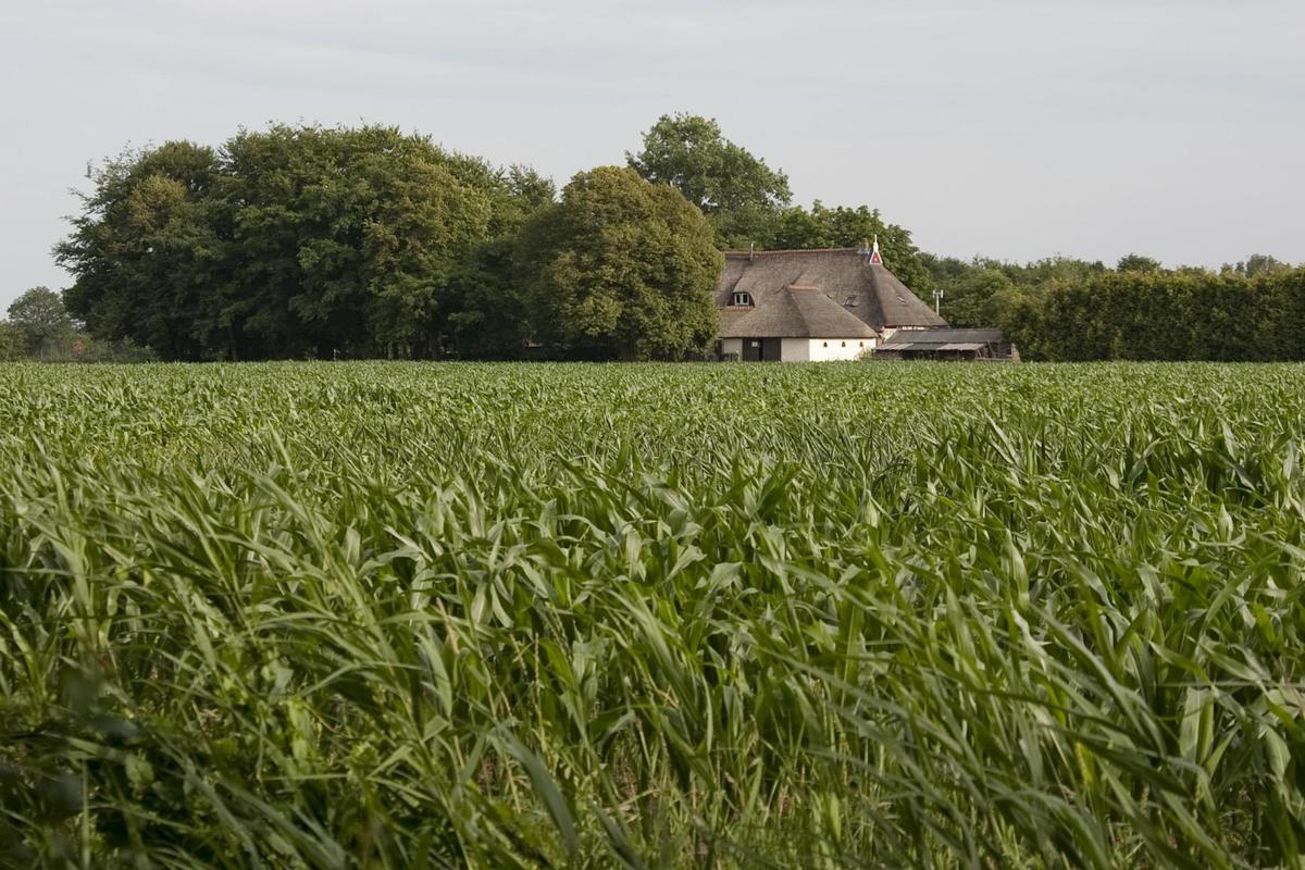 Camping 't Strandheem - Photo 47
