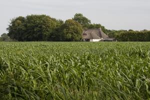 Camping 't Strandheem - Photo 47