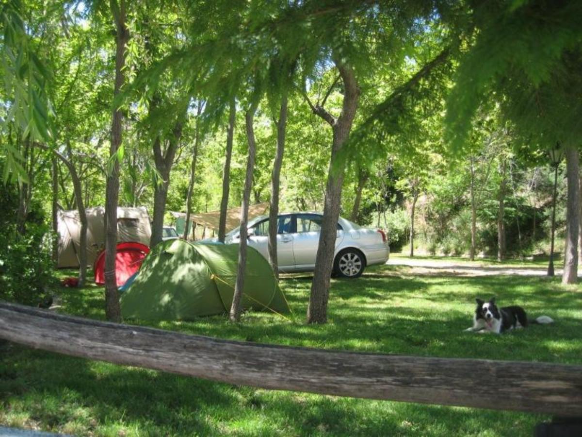 Camping Trevélez - Photo 2