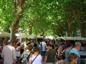 Flower CAMPING LES FAUVETTES - Photo 25
