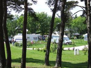 Camping Le Petit Bois*** - Photo 102