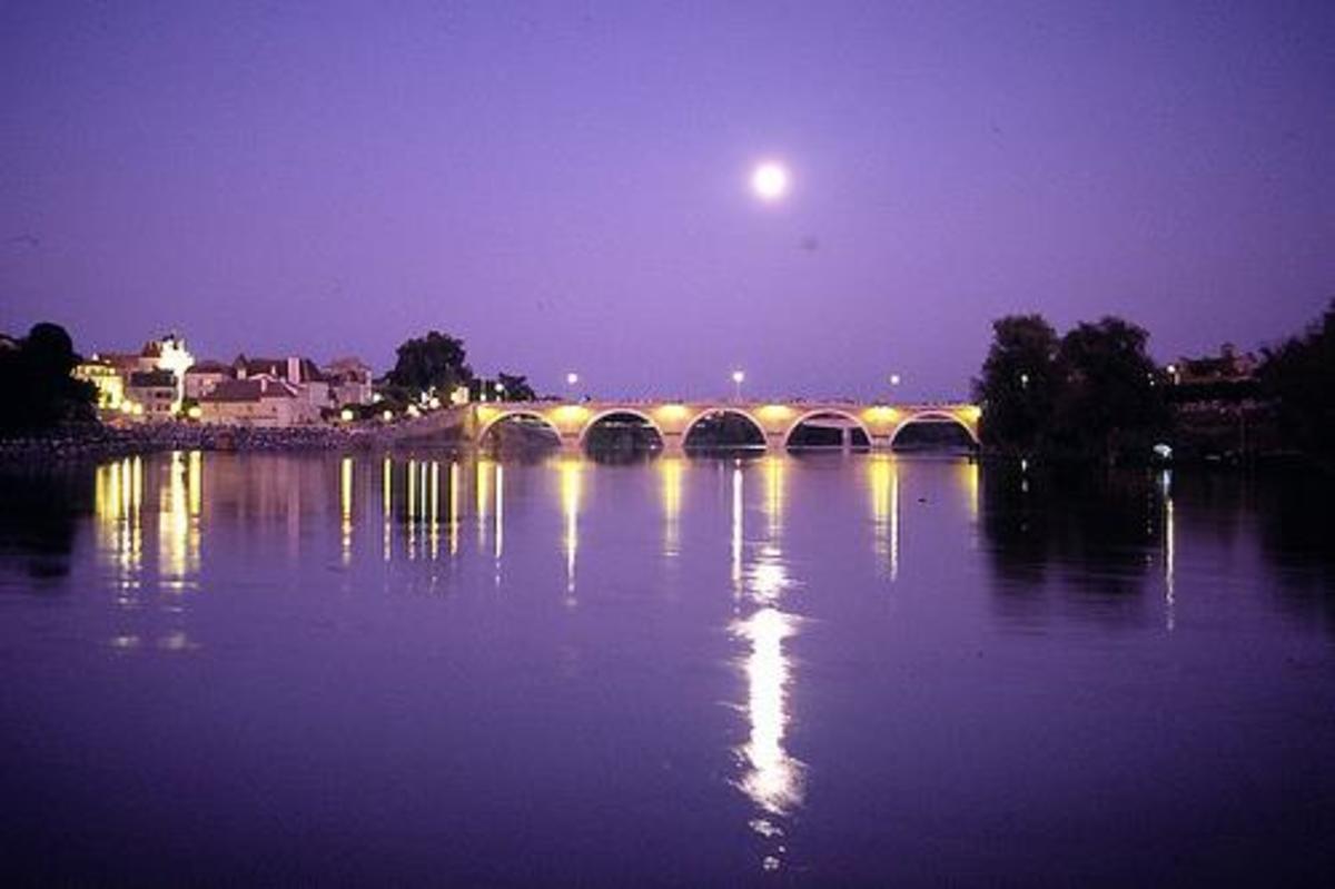 Sites et Paysages Domaine de l'Etang de Bazange - Photo 43