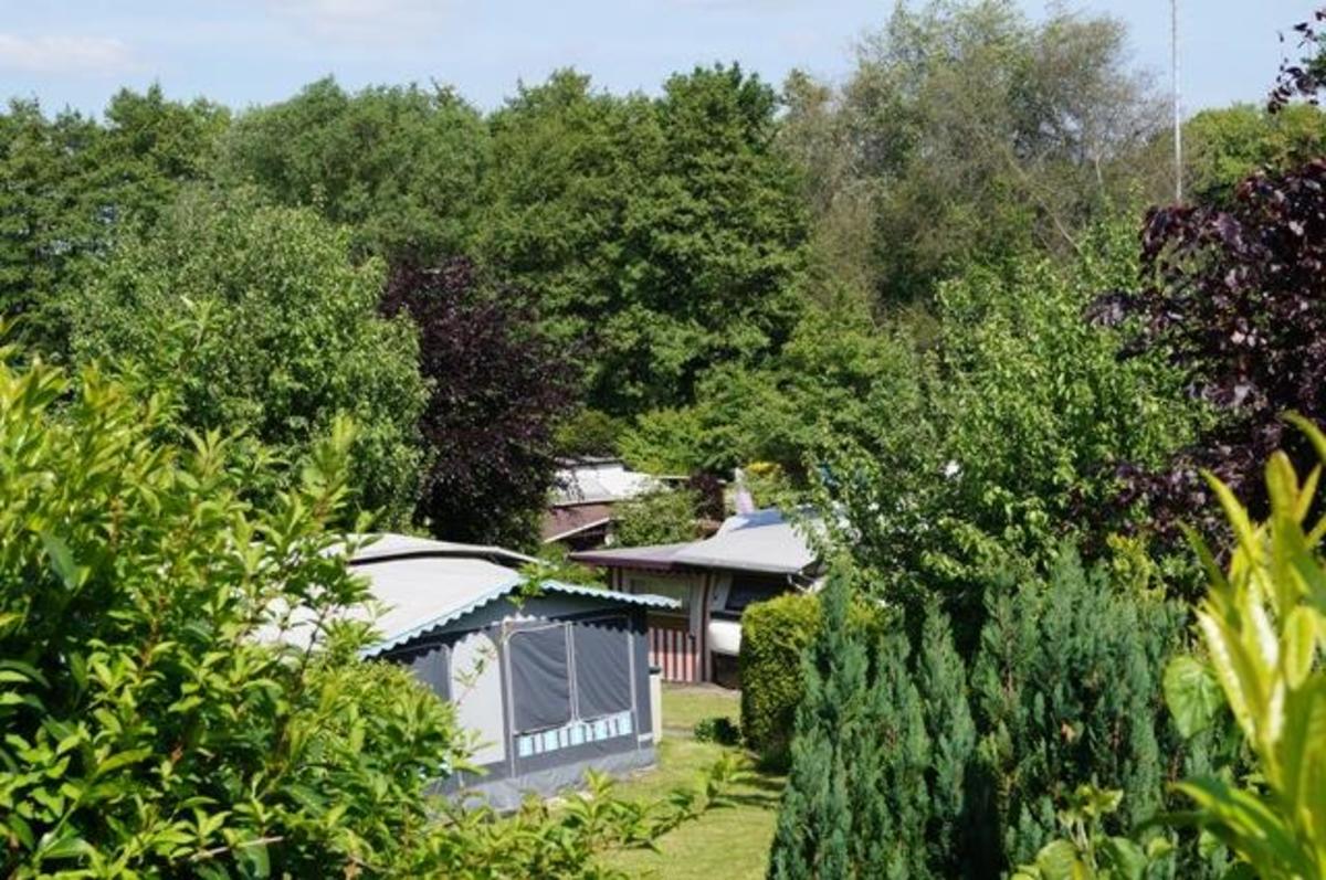 Campingplatz im Siebengebirge - Photo 2