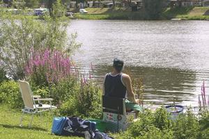 Recreatiepark en Jachthaven De Scherpenhof - Photo 7