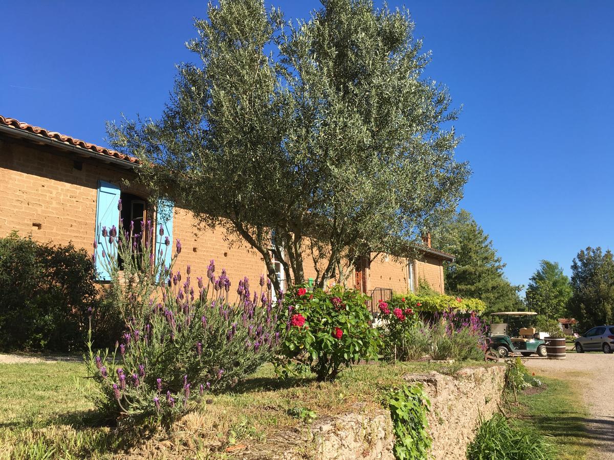 Les Chalets de Fiolles - Photo 6