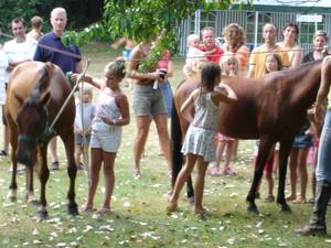 Camping de la Pélonie - Photo 29