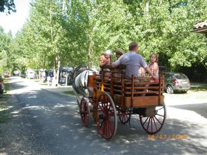 Camping de la Pélonie - Photo 30